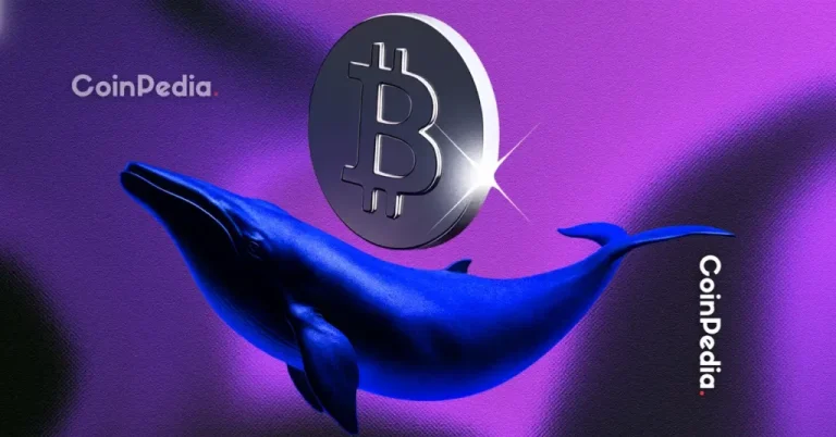 What Crypto Whales are Buying After Market Crash?