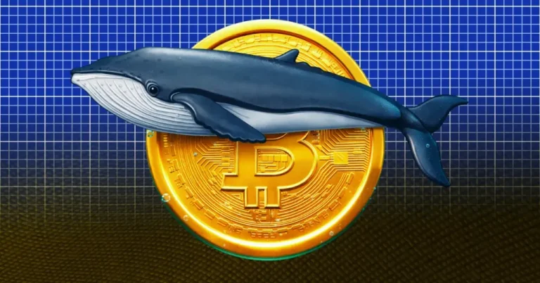 Bitcoin Whale Profits $570K as Bitcoin Price Rise Above $71K