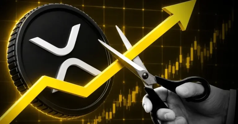 XRP Network Activity Surges While Derivatives Cool Off—What This Signals for the XRP Price Rally